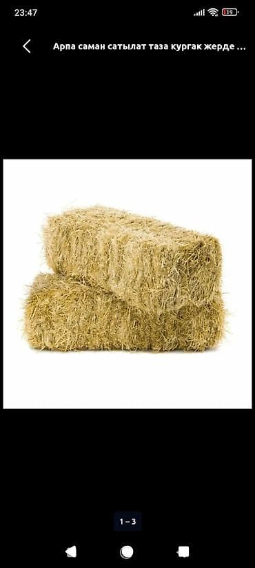 А/ч жаныбарлары үчүн тоюттар: Ячменная солома в тюках. - Сырьё: солома ячменя - Форма — 1