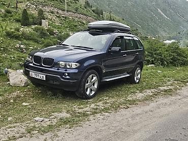 BMW X5: 2006 г., 3 л, Автомат, Дизель, Кроссовер