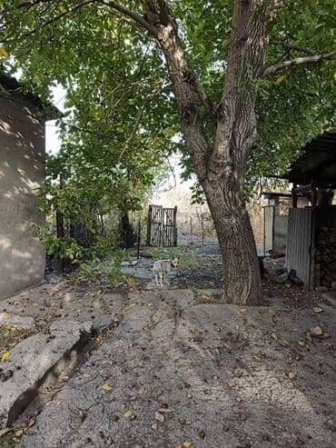 продаю дом рабочий гарадок: Дом, 80 м², 6 комнат, Собственник, Косметический ремонт — 10