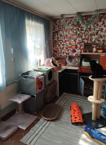 дом для сабака: Гостиница для кошечек и маленьких собачек до 5 кг Предлагаем — 1