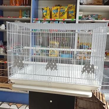 Үй жаныбарлары: Клетки для птиц — 7