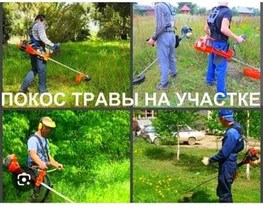 Аренда триммер гозонокосилка бензокоса электрический в день