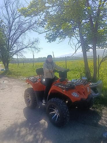 Квадроциклы: Квадроцикл Yamaha, Бензин, 420 куб. см, Взрослый — 5