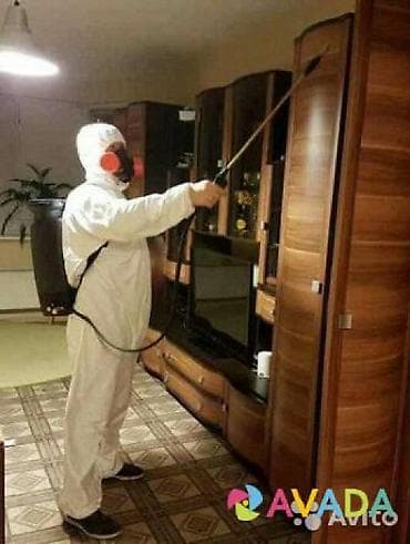 Другие услуги: Дезинфекция, дезинсекция, | Клопы, Блохи, Тараканы, | Транспорт, Офисы, Квартиры — 1