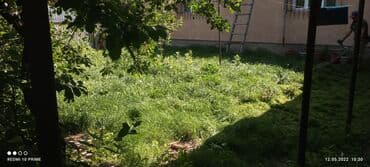 работы охраны: Уборка территории — 4