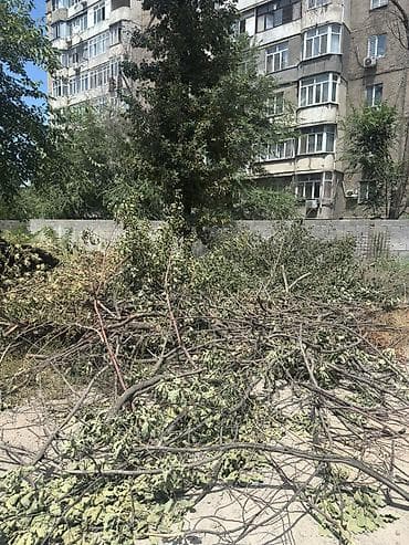 Дрова