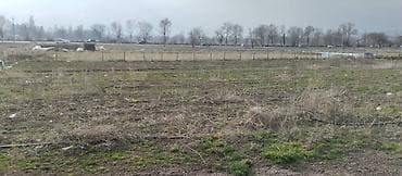 фудбольный поля: 115 соток, Для сельского хозяйства — 6