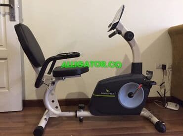 разгибание ног: Горизонтальный велотренажер от фирмы Long Style 🔥Новые заводские — 1