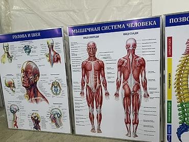 3 д стикеры на заказ: | Вывески, | Разработка дизайна — 7