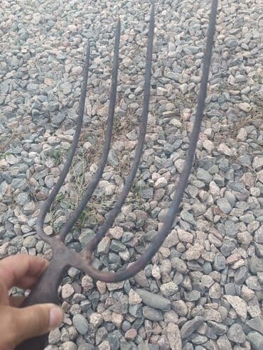 купить собаку породистую: Продаю вилы СССР — 2