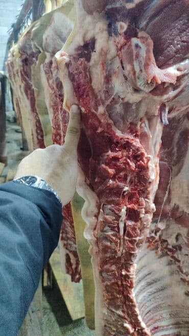 стиральный порошок оптом цена: Чочконун эти : 10 кг ашык, Акысыз жеткирүү — 3