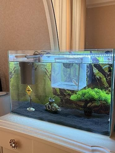 Аквариумы: Продам два аквариума в идеальном состоянии! 🐠 Продаю в связи с — 1