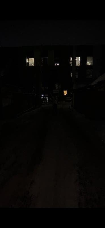 Комнатные растения: Мощные Солнечные уличные прожекторы LED 300W. с выносной солнечной — 8