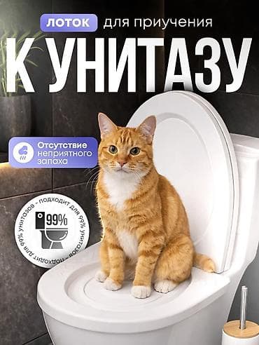 Товары для ВАШИХ ЛЮБИМЫХ КОШЕК! Туалет для кошек приучает ходить к