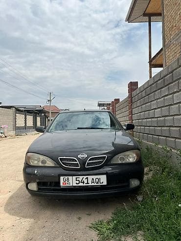 terrano 2: Nissan Primera: 2001 г., 2 л, Автомат, Бензин, Универсал — 4