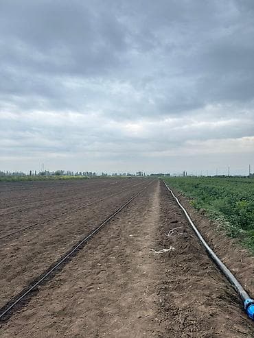 капельная система: Устали бороться за урожай на больших площадях? Полив гектаров вручную — 4