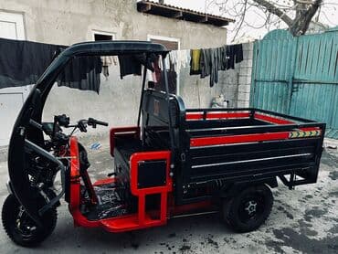 электр байк: Жеңил жүк ташуучу унаа, Стандарт, 1ге чейин т, Колдонулган — 4