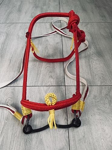 Продаю | Жеребец | Конный спорт at lalafo.kg Продаю | Жеребец | Конный спорт