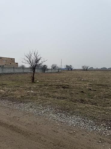 обмен домов: 15 соток, Для бизнеса, Красная книга — 3