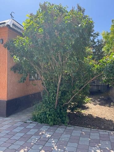 продаю дом в селе садовое: Продается дом в г Кант( село Люксембург,по улице советской) — 1