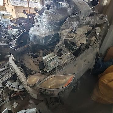 Ноускат Lexus