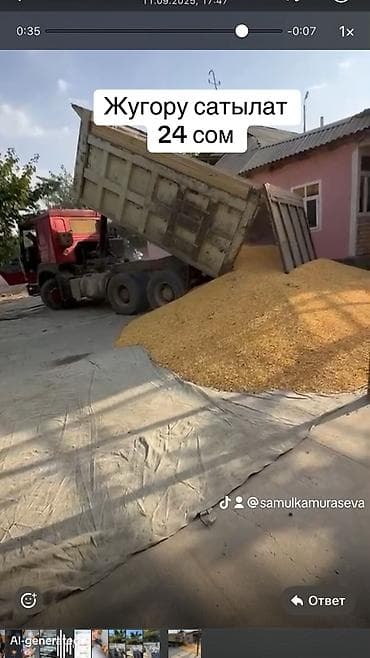 Жугору сатылат срочно
Кукуруза оптом at lalafo.kg — 4 Жугору сатылат срочно
Кукуруза оптом — 4