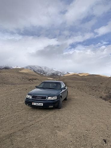 Audi 100: 1994 г., Седан