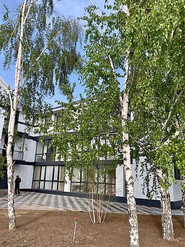 Иссык-Куль 2026: Квартира, seven sunny days ЦО Фонтан, Чолпон-Ата, Детская площадка, Закрытый пляж, Бассейн — 9