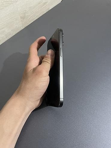 apple 5s iphone: IPhone 15 Pro Max, Б/у, 256 ГБ, Black Titanium, Чехол — 5