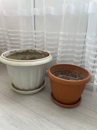 Кашпо с грунтом и Горшки для растений и цветов с готовым грунтом