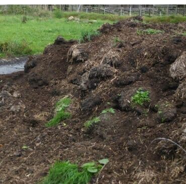 Продаю перегной машина8 т.сом.полмашины5т.сом.район новопокровка