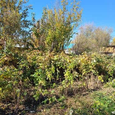 продаю дом новониколаевка: Үй, 150 кв. м, 5 бөлмө, Менчик ээси, Евро оңдоо — 38