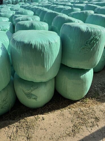 возьму собаку даром: Продаю силос высшего качества Мелкого дробления с зернами Адрес село — 1