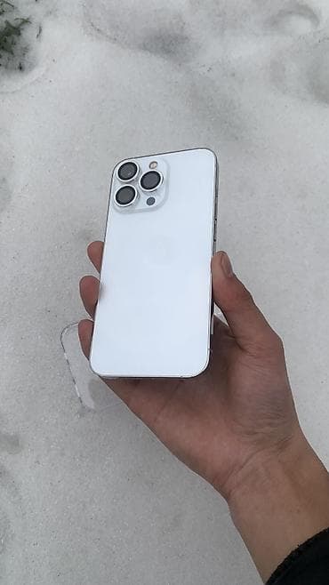 света диот: IPhone 13 Pro, Серебристый, Чехол — 1