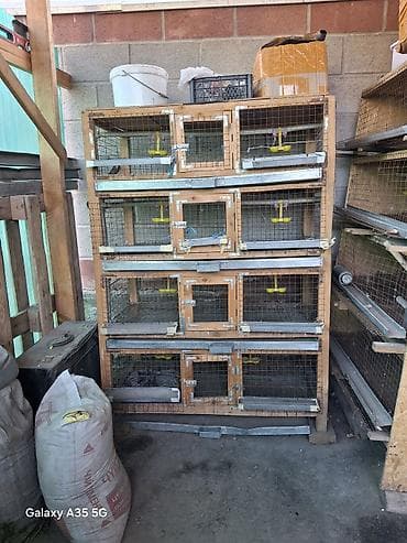 мингич ат: Клетка для бройлеров, перепелки и также для кур состояния отличное — 1