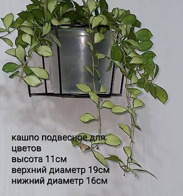 стойка для телефона: Полка, этажерка для цветов, Железо — 1