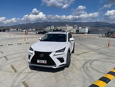 tesla 3: Lexus NX: 2019 г., 2 л, Автомат, Бензин, Кроссовер — 1