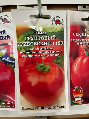 рассада помидор купить: Семена помидоров по 25 сомов «Джина ТСТ» «Лонг кипер» «Янтарное — 11