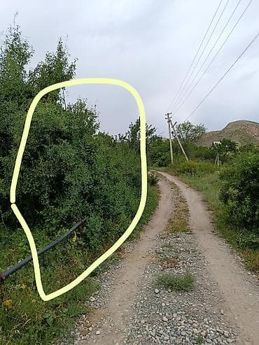 18: 6 соток, Для бизнеса, Красная книга — 6