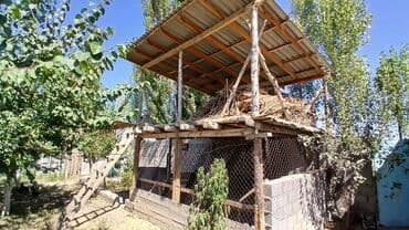 продам дом в коттеджном городке: Дом, 100 м², 7 комнат, Собственник, Евроремонт — 6