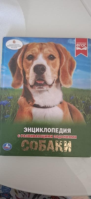 кукла реборн оригинал цена: Продаю книги современной детской литературы, возраст, 6 12+. все — 10