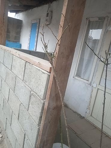 пик курулуш: Кладка стен и перегородок из блока/кирпича - Профессиональная кладка — 2