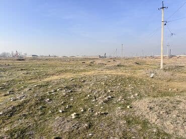 продаю участок на иссык куле село тамчы: 1500 соток, Для бизнеса, Красная книга — 10