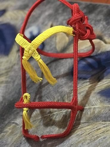 Животные: Амуниция для лошади — верёвочное трензельное недоуздок (rope halter) — 4