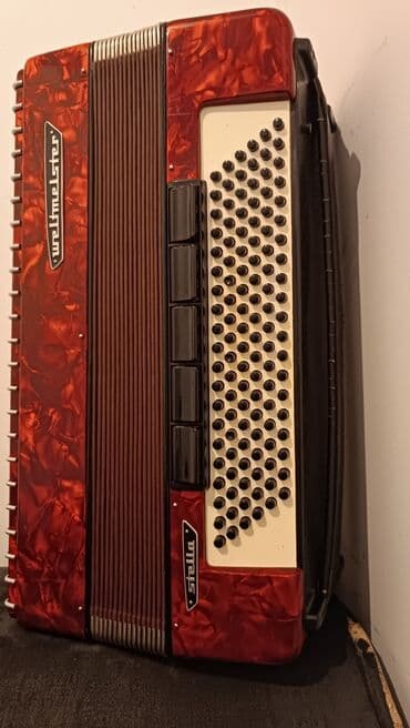 флейта на прямоток: Классный Аккордеон Weltmeister Stella с 120 басами, выполненный в — 1