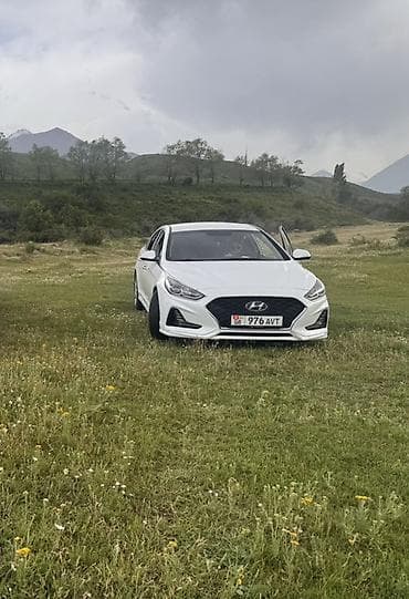 low ll: Hyundai Sonata: 2017 г., 2 л, Автомат, Бензин, Седан — 4