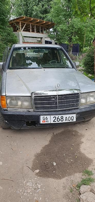Mercedes-Benz 190: 1994 г., Механика, Бензин, Седан