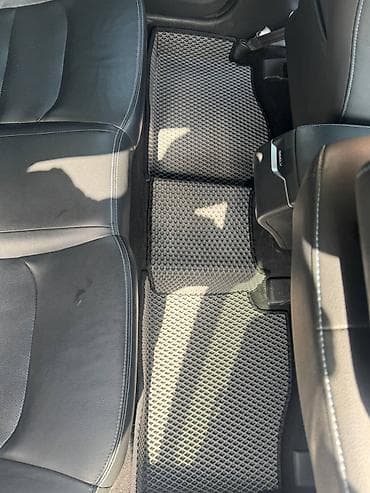 auris: Полики — 10