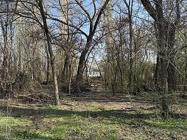 первый май: 62 соток, Для строительства, Красная книга — 8