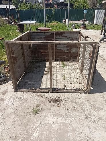 жаныбарлар: Башка торлор — 1